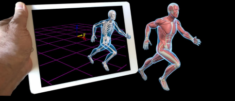 Motion Monitor 生物力学实时采集分析平台 Motion Monitor 生物力学实时采集分析平台