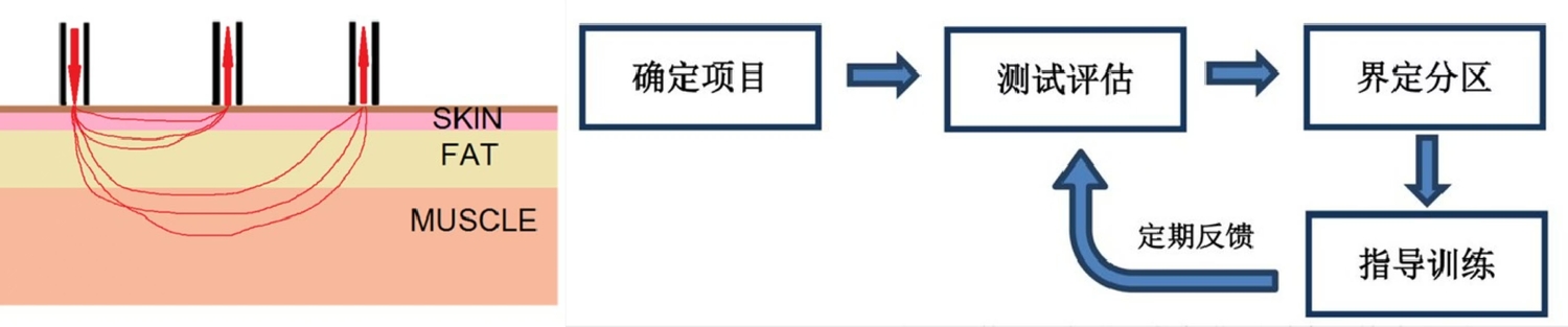 近红外光肌氧监测系统技术原理 近红外光肌氧监测系统技术原理